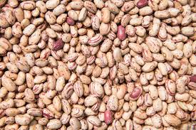 لوبیا چیتی چینی