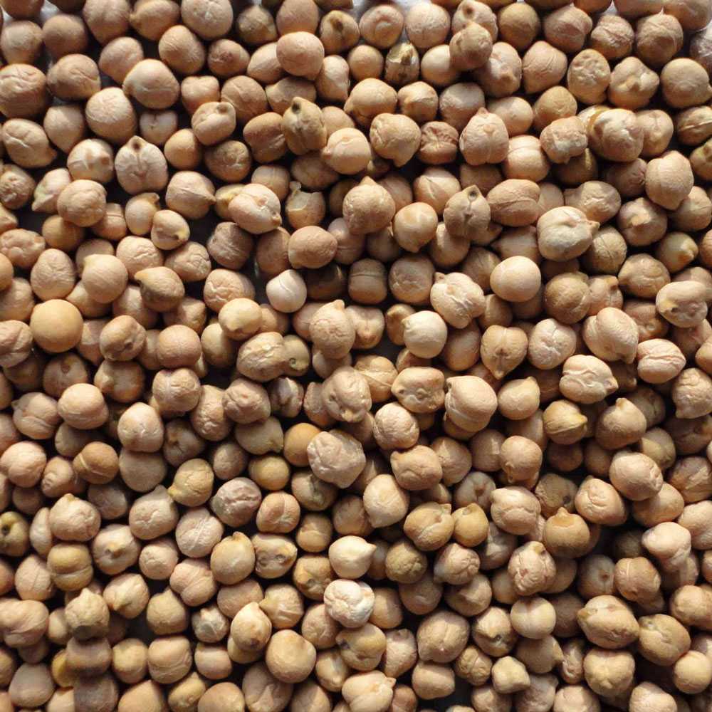 نخود آبگوشتی