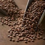 عدس قهوه ای