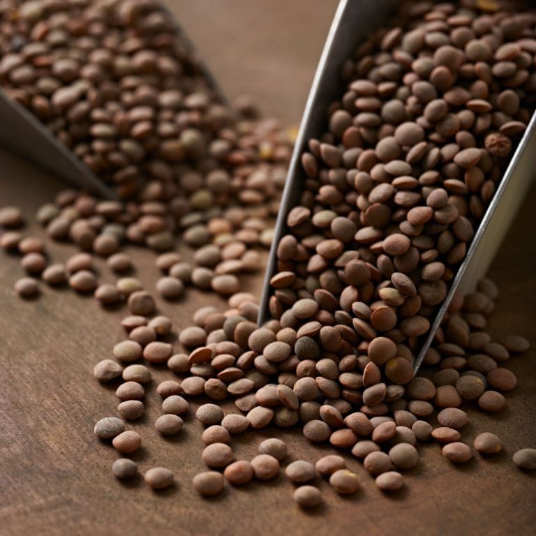 عدس قهوه ای