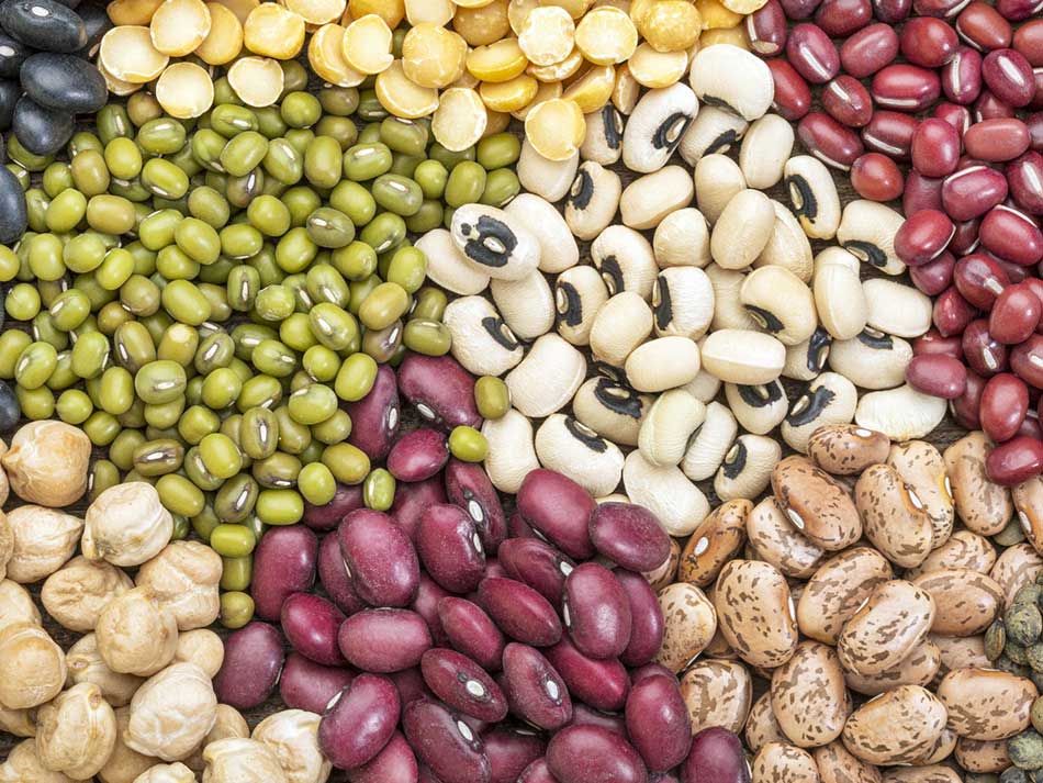 حبوبات کانادا