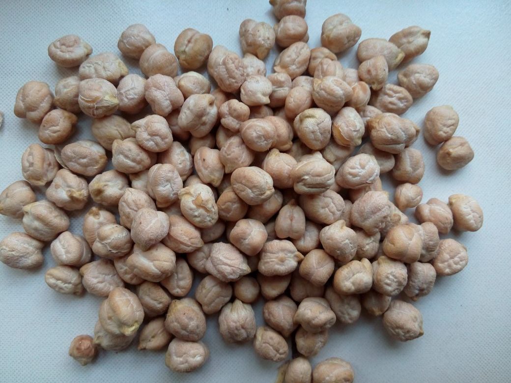 قیمت روز نخود