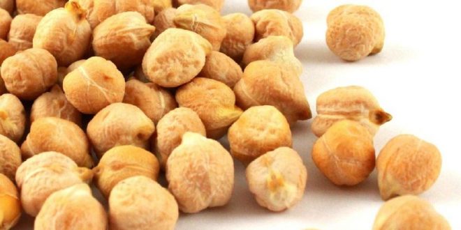 نخود آرژانتینی