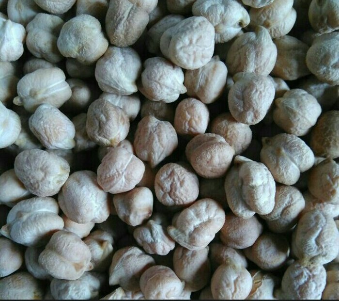 صادرات نخود کرمانشاه