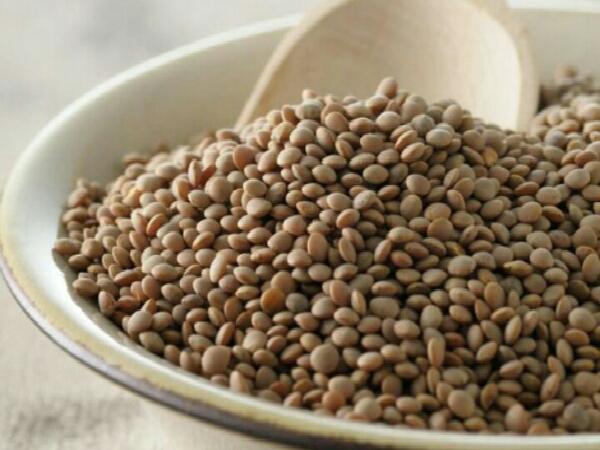 سفارش عمده و جزئی انواع حبوبات