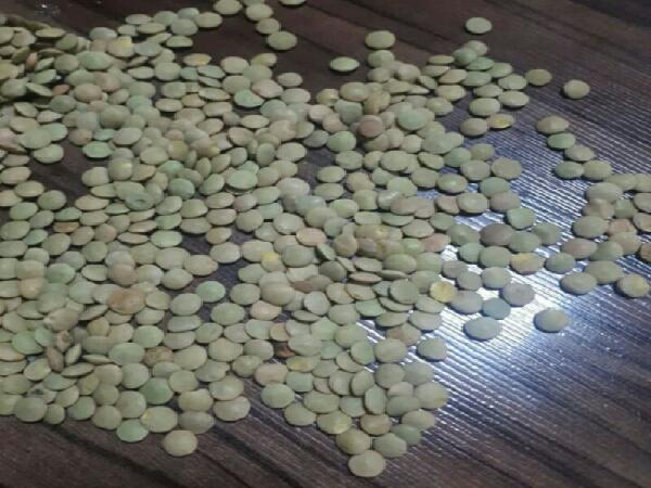 بازرگانی فروش حبوبات داخلی و خارجی