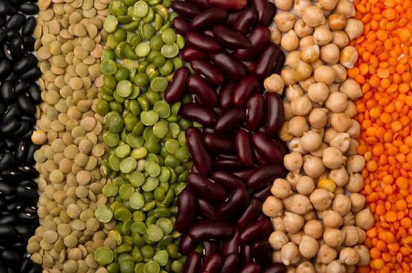 تولید عمده حبوبات در ایران