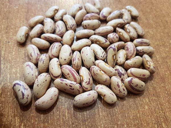 نمایندگی فروش انواع حبوبات ایرانی و خارجی