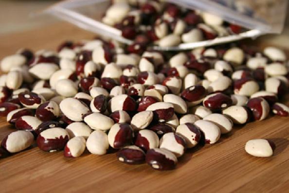 فروشنده حبوبات بسته بندی شده 