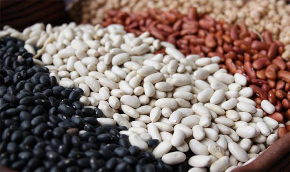 خریدار عمده لوبیا چیتی ارزان قیمت