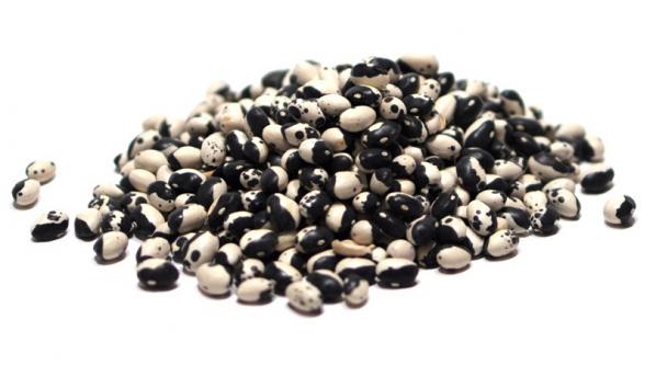 ویژگی های لوبیا صادراتی درجه یک