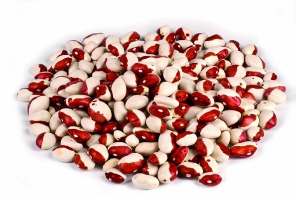 واردات بهترین لوبیا خارجی به کشور